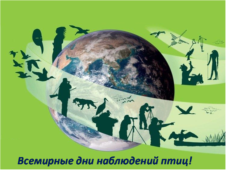 Всемирные дни наблюдений птиц